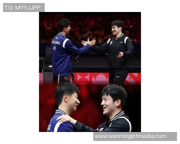 卡塔尔马龙与樊振东巅峰对决乒乓球赛精彩回顾与分析