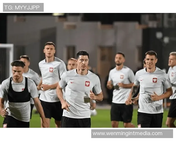 2018年国际友谊赛回顾：荷兰队对阵秘鲁队精彩瞬间与战术分析